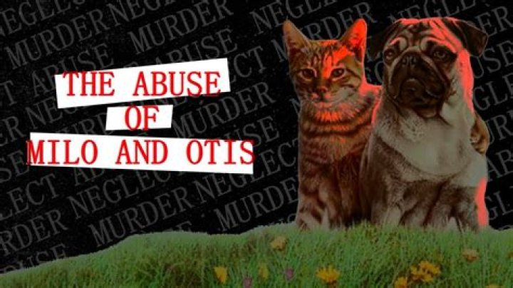 Animal Abuse Scandal Rocks "Milo And Otis" Legacy